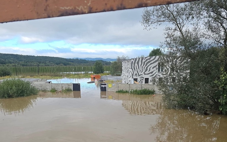 Zalane tereny z widokiem na budynek w tle.