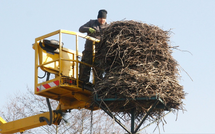 Pies w różowej obroży na tle domowego wnętrza, patrzy uważnie.