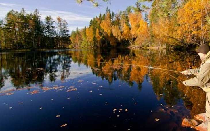 Zbiórka Wyjazd do Szwecji na ryby - zdjęcie główne