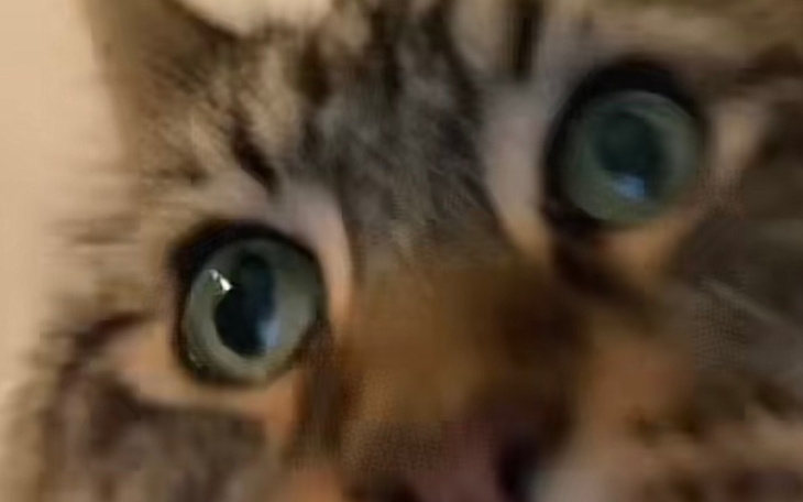 Zbiórka Na nowy rower bo tamten - zdjęcie główne