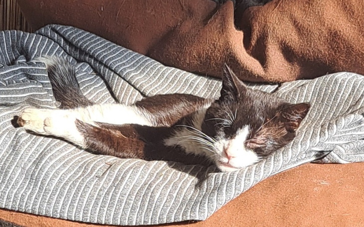 Zbiórka Pomoc dla bezdomnego KRAWATKA - zdjęcie główne