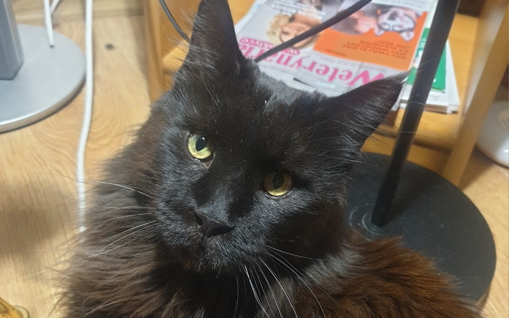 Zbiórka Zwierzowóz - zdjęcie główne