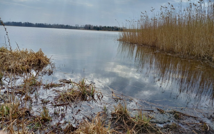 Zbiórka Na Mcdonalda - zdjęcie główne