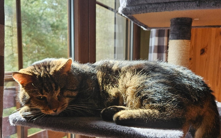 Zbiórka Pomóż przeżyć Błażejowi - zdjęcie główne