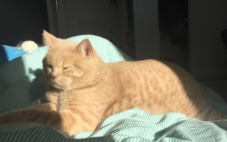 Zbiórka Bogdan walczy o życie. - zdjęcie główne