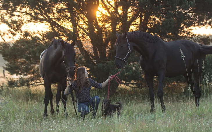 Zbiórka Otul konie zmarłej Magdy - zdjęcie główne