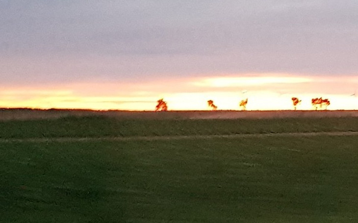 Zbiórka Wycieczka do Anglii - zdjęcie główne