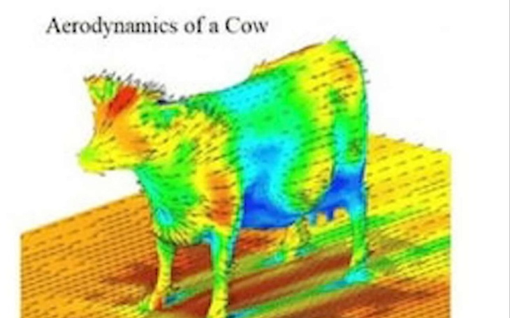 Zbiórka Zbieramy aby Flopi mógł pojechać - zdjęcie główne