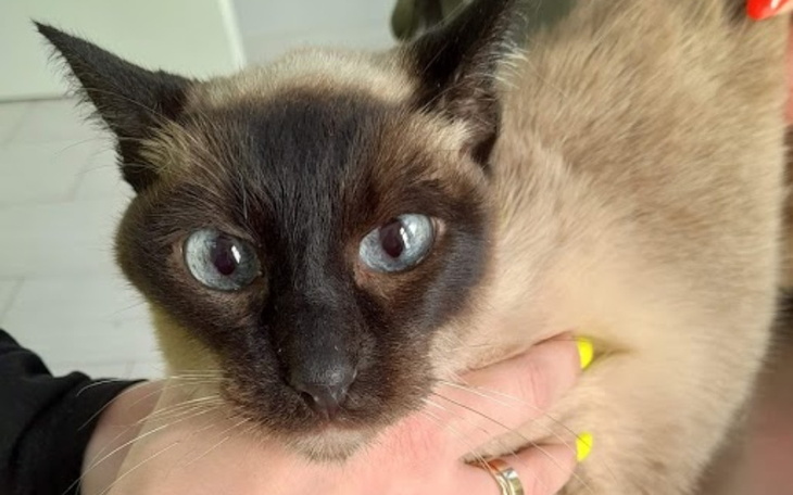 Zbiórka Zbieramy na Lunę - zdjęcie główne