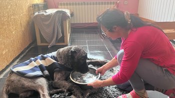 Zbiórka Powiedz Im że to KONIEC - miniaturka zdjęcia