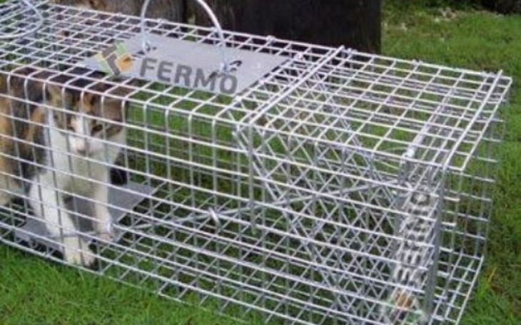 Zbiórka KLATKAŁAPKA-walka z bezdomnością - zdjęcie główne