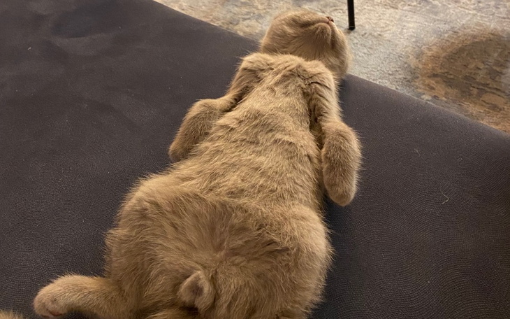 Zbiórka Zamknięcie kredytów - zdjęcie główne