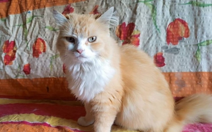 Zbiórka Pomóż Marusi przyjechać do PL - zdjęcie główne