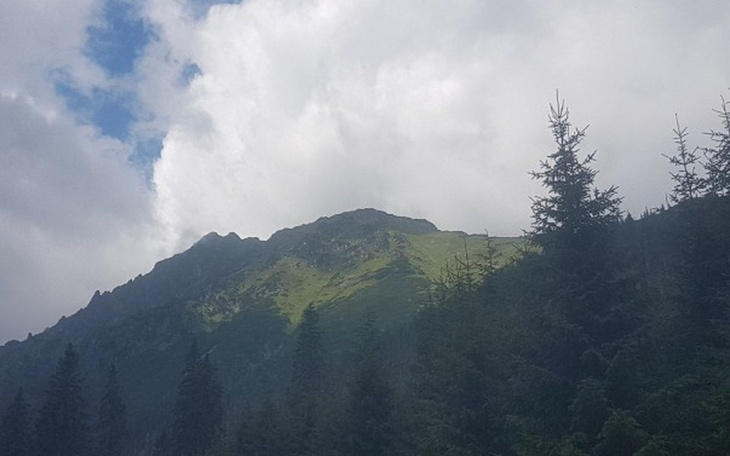 Zbiórka Pomoc. - zdjęcie główne