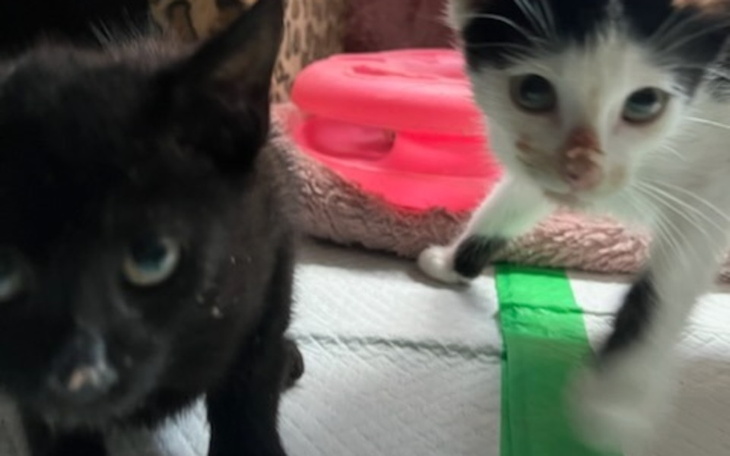 Zbiórka Szczepienie plus pobyt w hotelu - zdjęcie główne