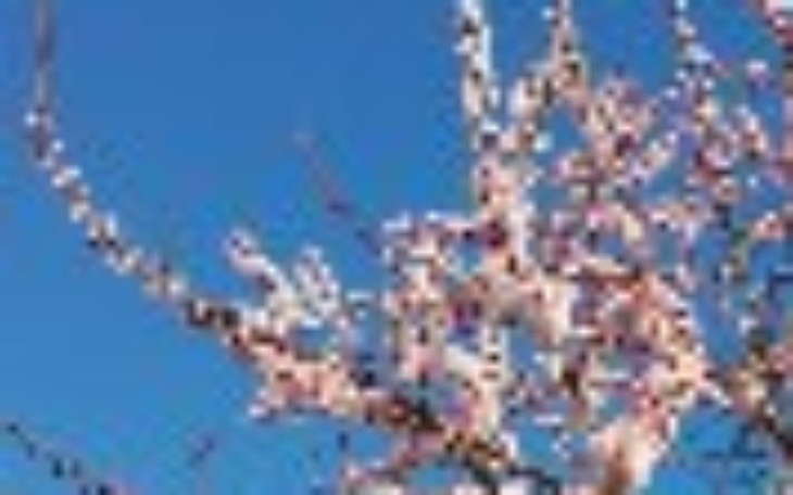 Zbiórka Na drobne marzenia - zdjęcie główne