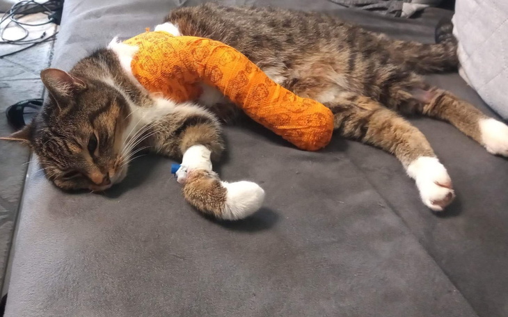 Zbiórka Pomóżmy Bogusiowi - zdjęcie główne