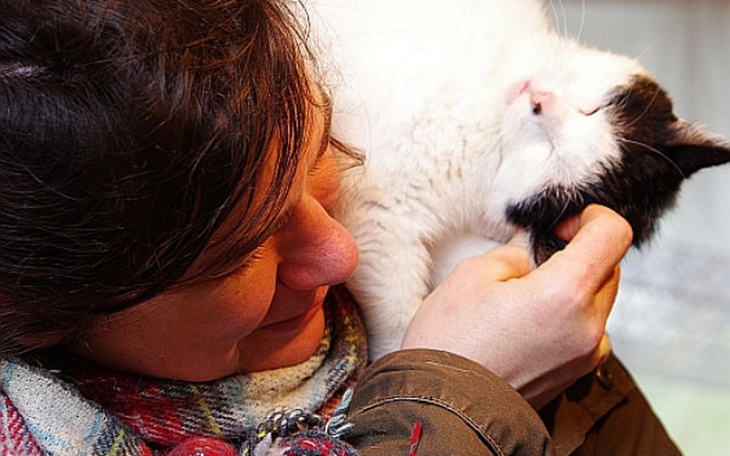 Zbiórka Jaka będzie zima Asi? - zdjęcie główne