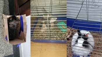 Zbiórka Zamiast święta - dramat - miniaturka zdjęcia