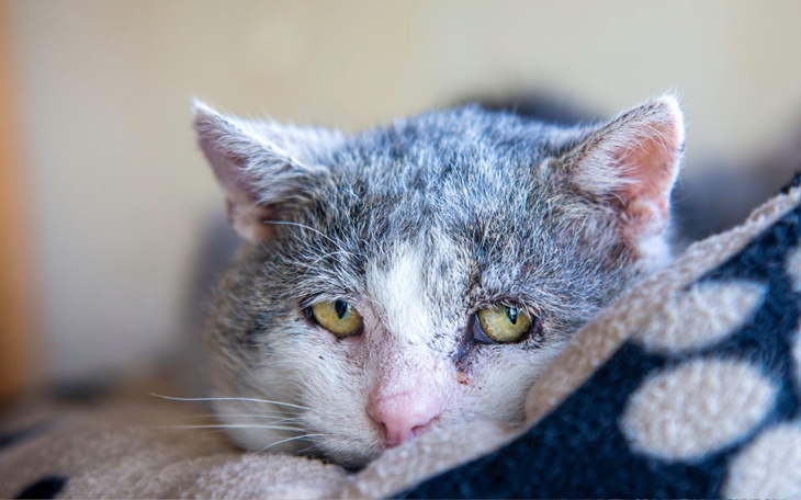 Zbiórka Mruczarnia - październik - zdjęcie główne