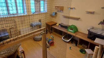 Zbiórka Siedemnaście - miniaturka zdjęcia