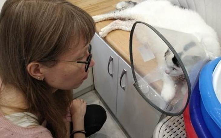 Zbiórka kotek Bambuś w potrzebie - zdjęcie główne