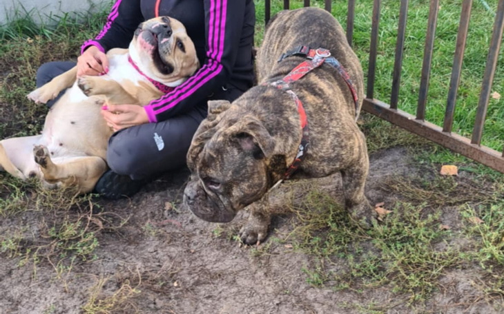 Zbiórka Ratunkowa AN - zdjęcie główne