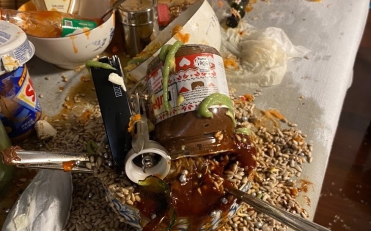 Zbiórka na szkody domu Maliny - zdjęcie główne