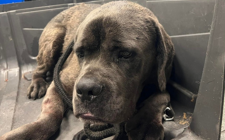 Zbiórka Zostałem sam. - zdjęcie główne