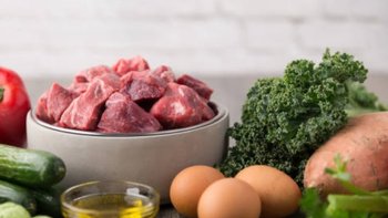 Zbiórka Podaruj posiłek dla naszych psów - miniaturka zdjęcia