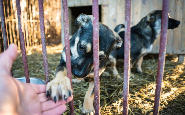 Zbiórka Rita i Ora-po lepsze jutro. - zdjęcie główne