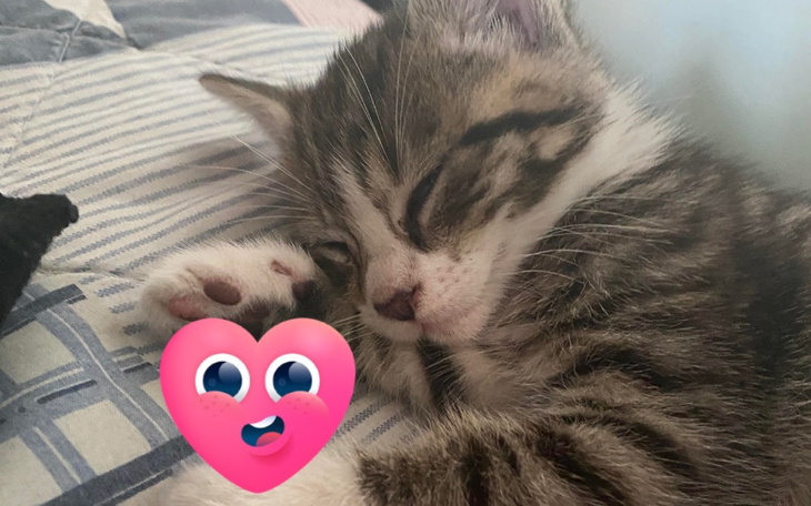 Zbiórka rehabilitacja mięśnia uda - zdjęcie główne