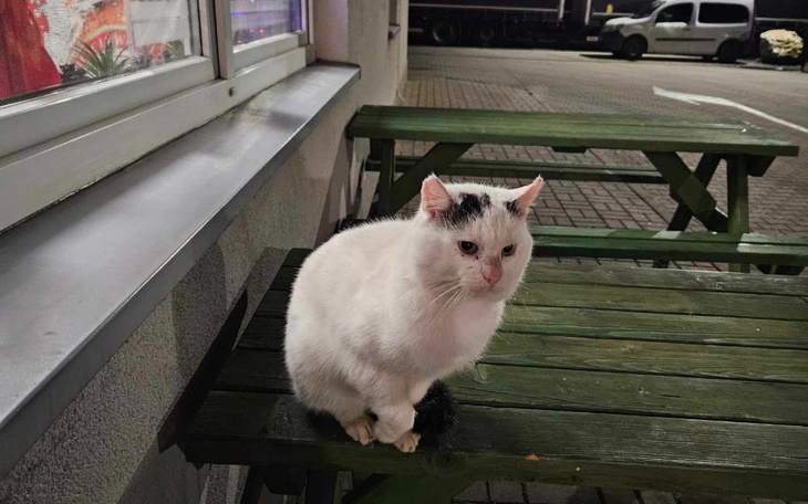 Zbiórka Wyrzucona na stacji paliw. - zdjęcie główne