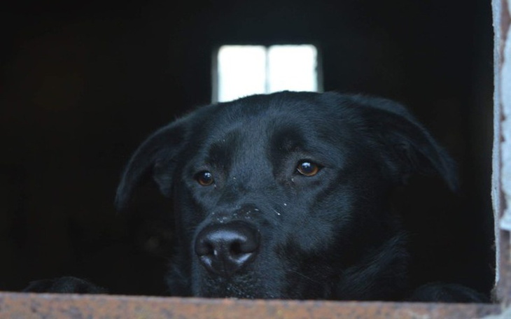 Zbiórka Żył w zamknięciu i odchodach - zdjęcie główne