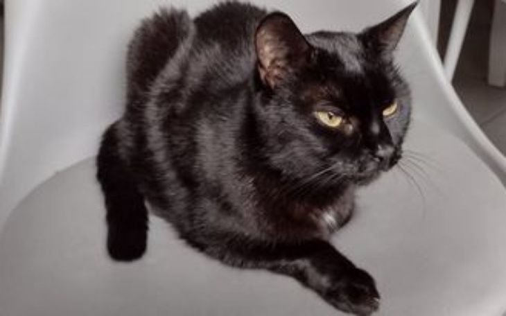 Zbiórka Petra prosi o pomoc w leczeniu - zdjęcie główne