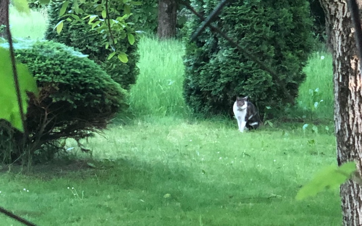 Zbiórka dfadsffds - zdjęcie główne