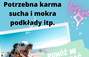 Zbiórka Na pomoc małym psiakom - miniaturka zdjęcia