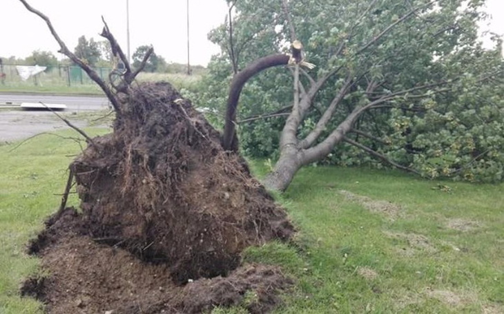 Zbiórka Pomoc dla rodziny ♡ - zdjęcie główne