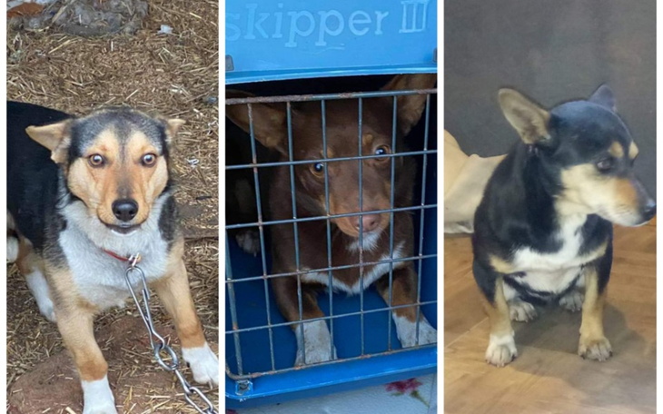 Zbiórka Apel o wsparcie - zdjęcie główne