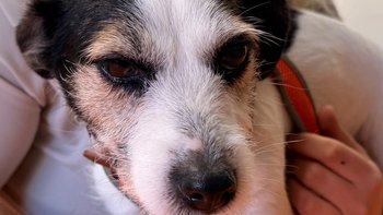 Zbiórka Dla Lenki - miniaturka zdjęcia