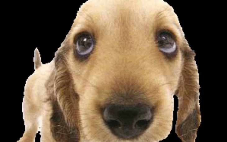 Zbiórka zbieram na telefon bo mi ukradli - zdjęcie główne