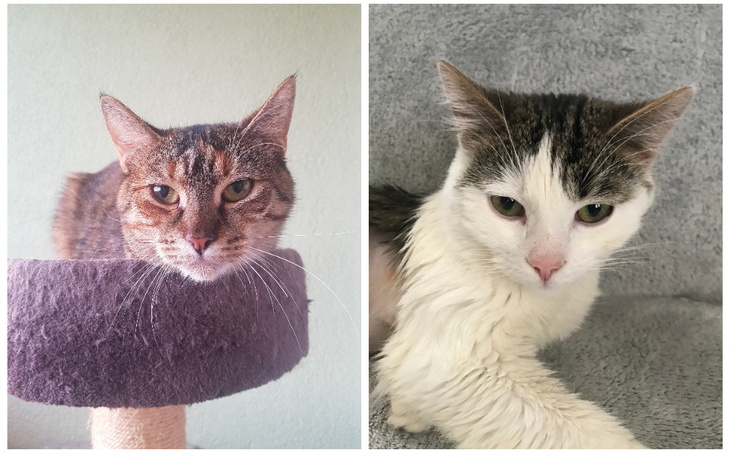 Zbiórka Pokonać FIP - zdjęcie główne