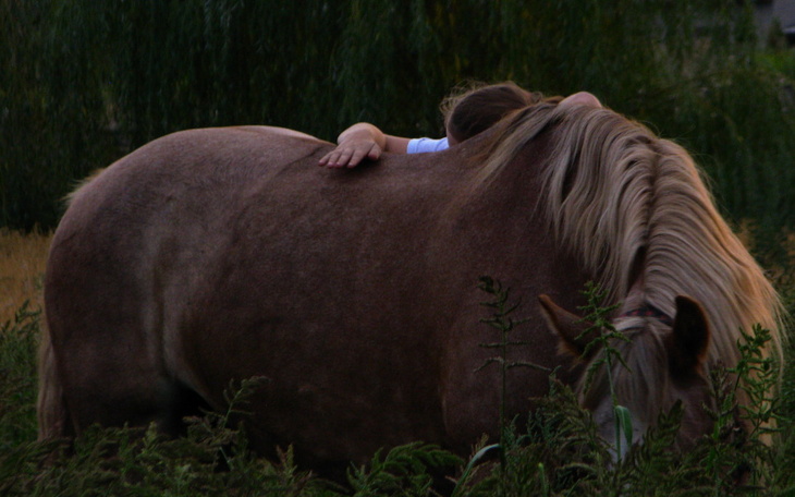 Zbiórka Pomoc dla Malwiny - zdjęcie główne