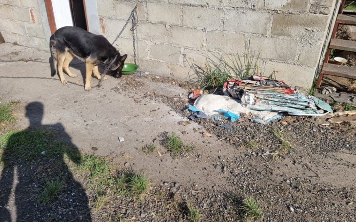 Zbiórka Zbiórka dla Sary na nowe warunki - zdjęcie główne