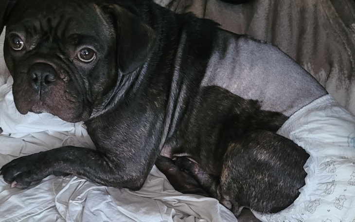 Zbiórka Na rehabilitacje dla Filipa - zdjęcie główne