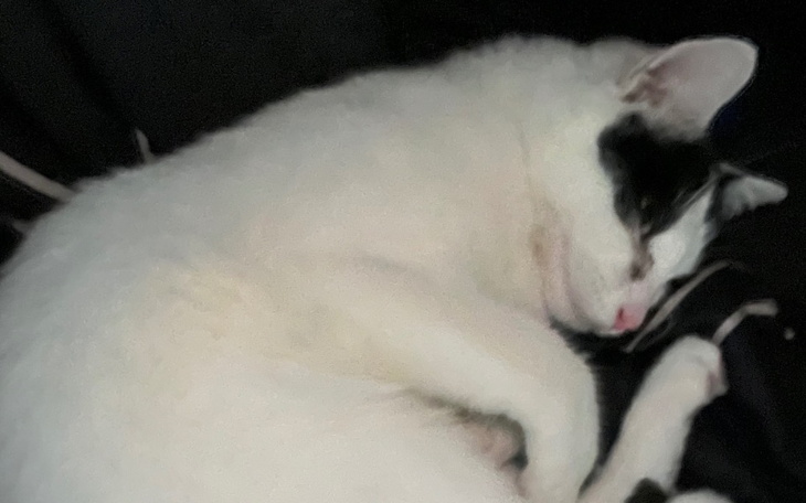 Zbiórka Chcę być szczęśliwa - zdjęcie główne