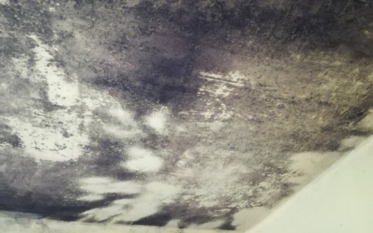 Zbiórka Dom ogarnięty wilgocią, pomóżcie - zdjęcie główne