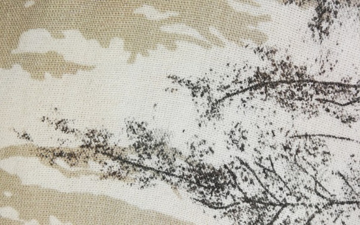 Zbiórka Wyjść z długów - zdjęcie główne