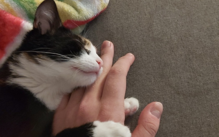 Zbiórka Merida potrzebuje pomocy - zdjęcie główne