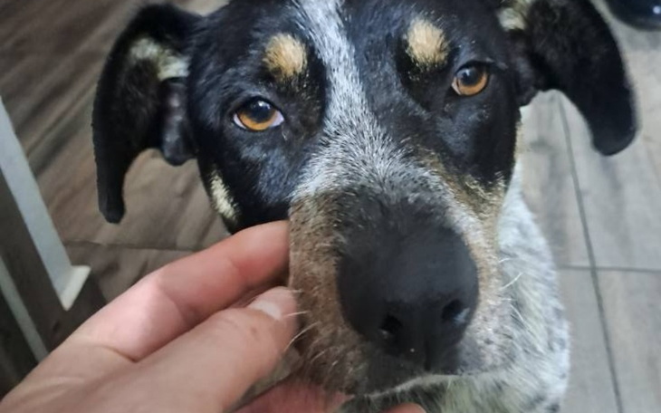 Zbiórka Borelioza u Zunii - zdjęcie główne